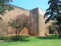 rabat garden 003